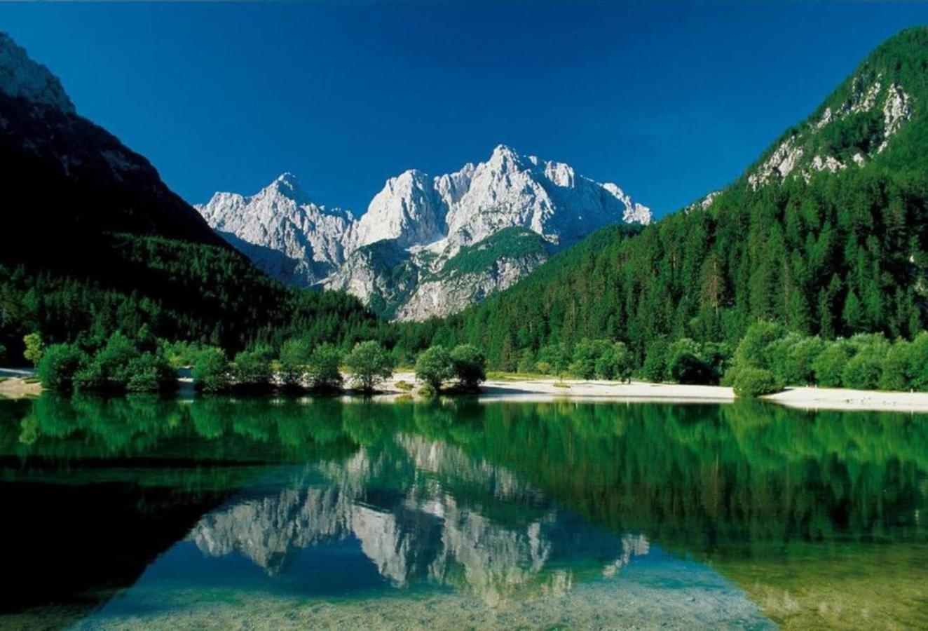 Apartmaji "La Vie Est Belle" Kranjska Gora Exterior foto